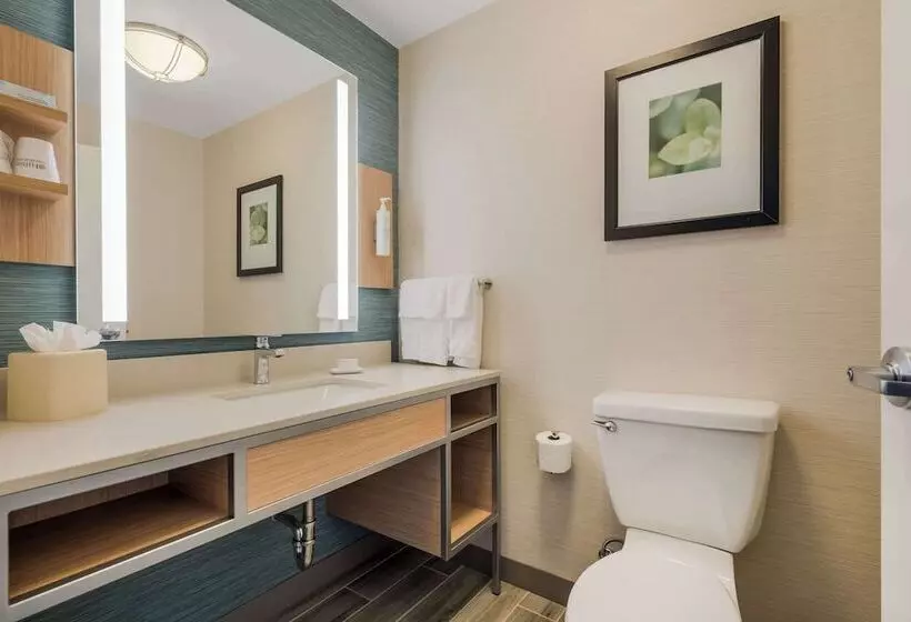 Standard-invahuone, Hilton Garden Inn Rockford