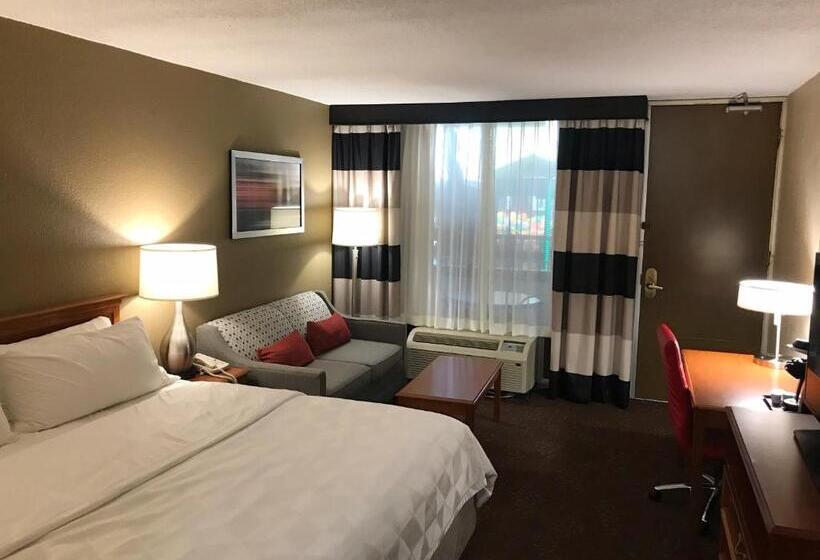 带大床的标准间, Holiday Inn Alexandria, An Ihg