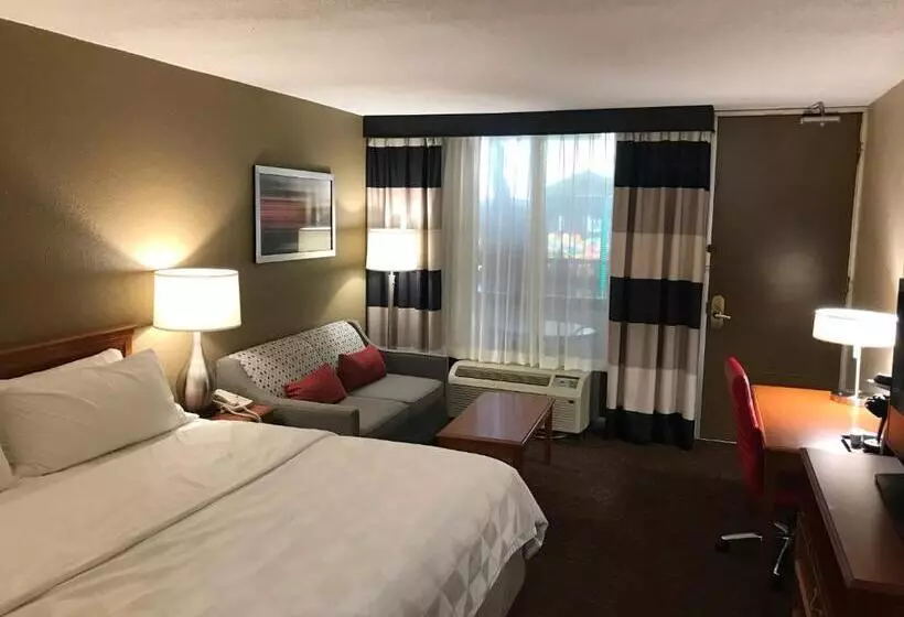 キングサイズベッドのスタンダードルーム, Holiday Inn Alexandria, An Ihg