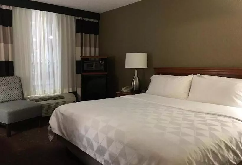 身障者適用キングサイズベッドルーム, Holiday Inn Alexandria, An Ihg
