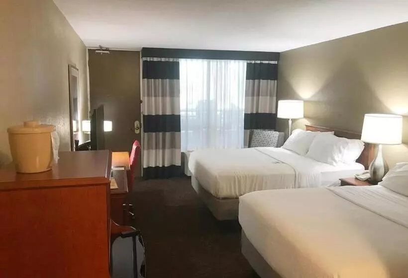 プールビュースタンダードルーム, Holiday Inn Alexandria, An Ihg