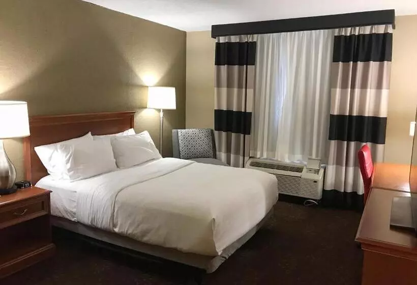 身障者適用スタンダードルーム, Holiday Inn Alexandria, An Ihg