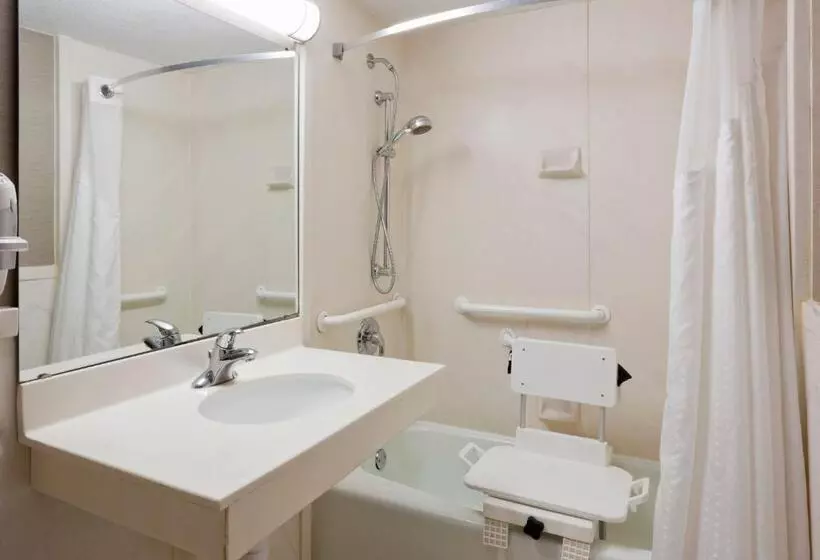 身障者適用スタンダードルーム, Holiday Inn Alexandria, An Ihg