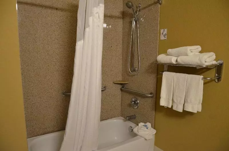 سوئیت با تخت بزرگ, Holiday Inn Express Hotel & Suites Amarillo South, An Ihg
