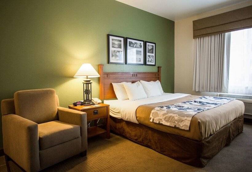 جناح لذوى الاحتياجات الخاصة, Sleep Inn & Suites Conference Center