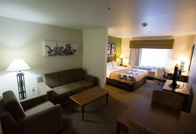 جناح لذوى الاحتياجات الخاصة, Sleep Inn & Suites Conference Center