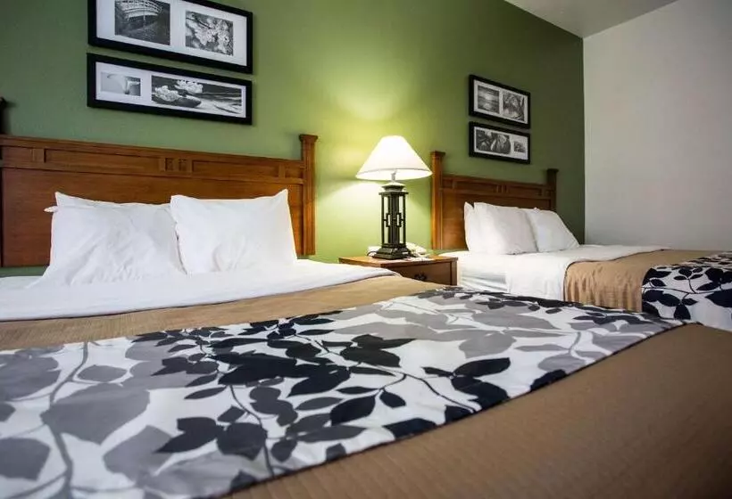 اتاق استاندارد, Sleep Inn & Suites Conference Center
