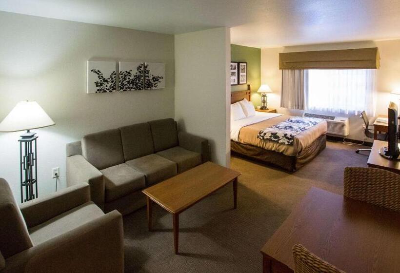 스위트 킹사이즈 침대, Sleep Inn & Suites Conference Center