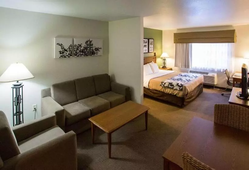 سوئیت با تخت بزرگ, Sleep Inn & Suites Conference Center