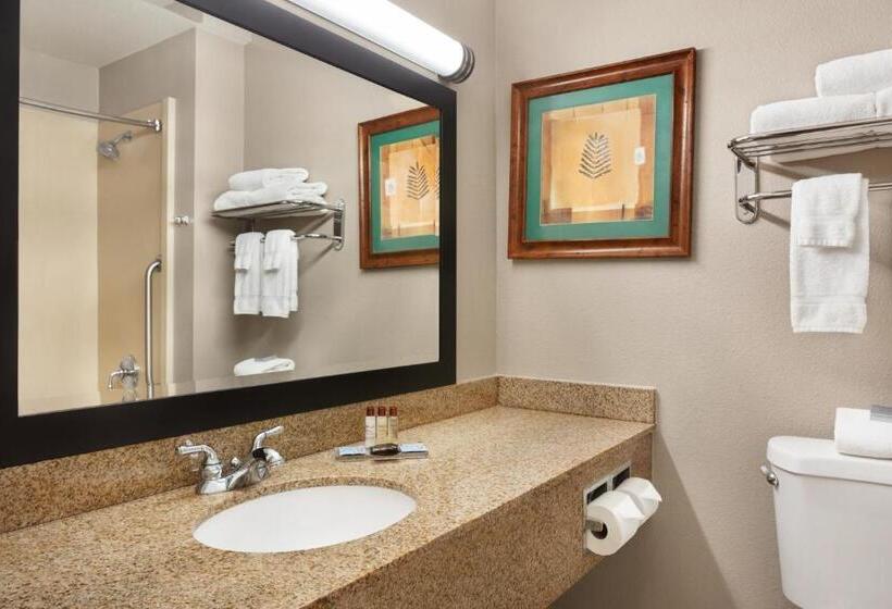Номер Deluxe Кровать Кинг, Wingate By Wyndham Bentonville
