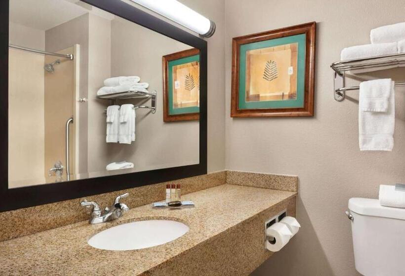 Номер Deluxe Адаптированный для Инвалидов, Wingate By Wyndham Bentonville