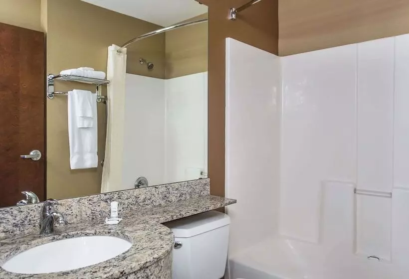 スイート, Microtel Inn & Suites By Wyndham Pearl River/slidell