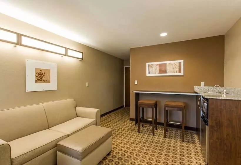 スイート, Microtel Inn & Suites By Wyndham Pearl River/slidell