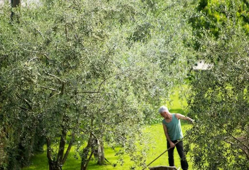Standard-huone, Agriturismo Vin E Amor