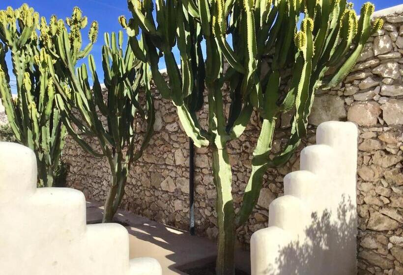 اتاق استاندارد اینتریور, Dar Alya Essaouira Maison Et Table D Hôtes