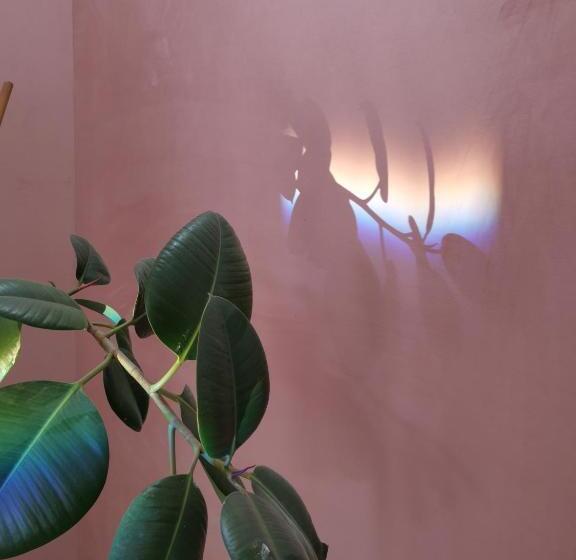 غرفة قياسية, Jardin D Hiver Cassel Suite De 70 M2