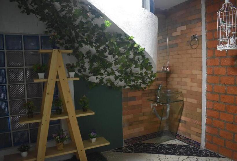 スイート, Alcatraz