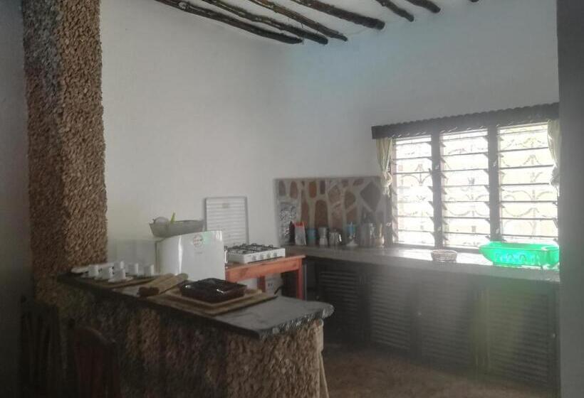اتاق استاندارد, Chiky Villa