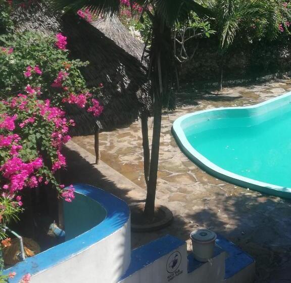 استودیو استاندارد با تراس, Chiky Villa