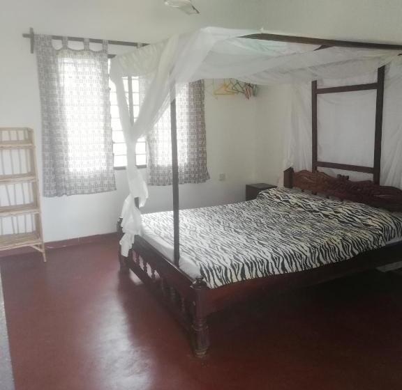 استودیو استاندارد با تراس, Chiky Villa