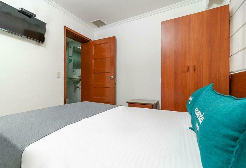 Standart Oda, Ayenda Americano