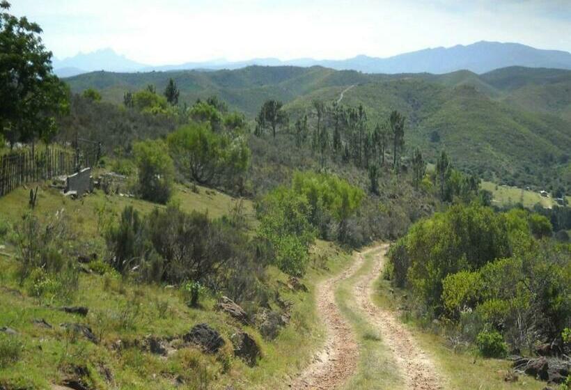Бунгало Стандарт, Pabala Private Nature Reserve