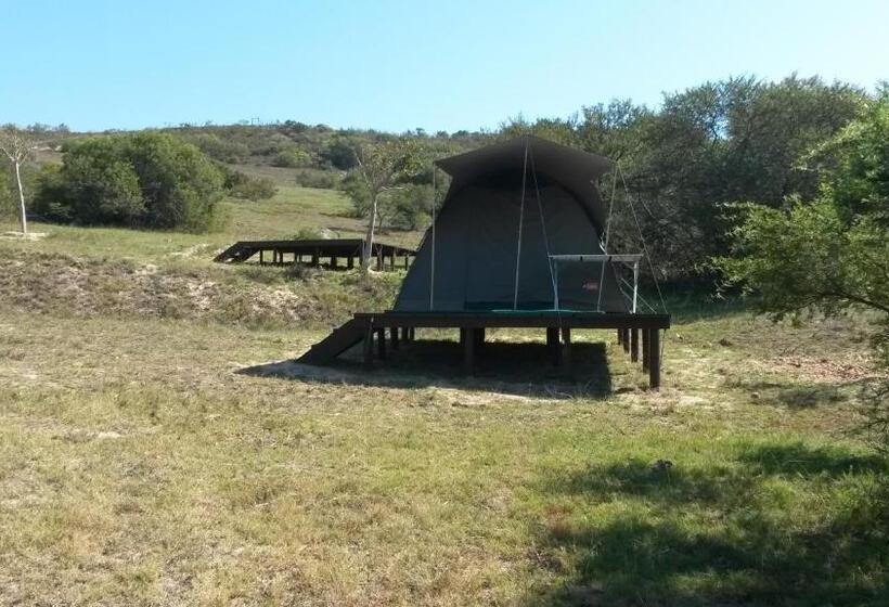 Standard Tent, Pabala Private Nature Reserve