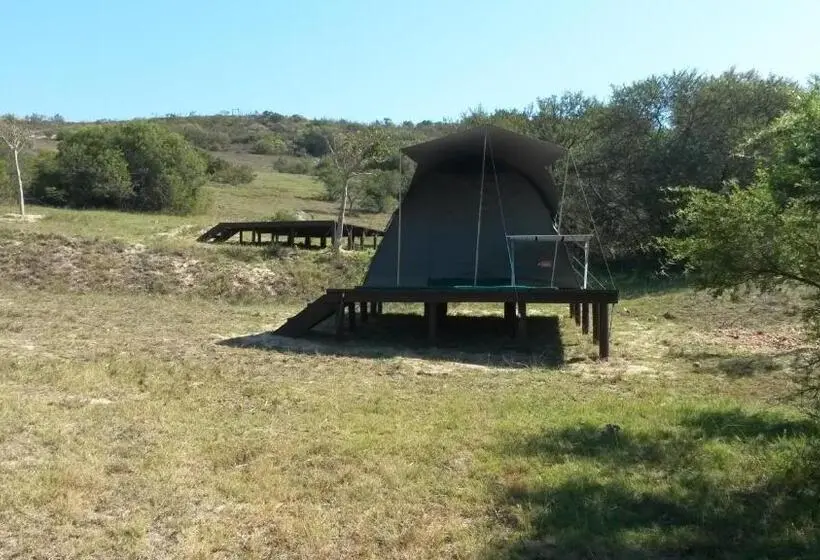 Standard Tent, Pabala Private Nature Reserve