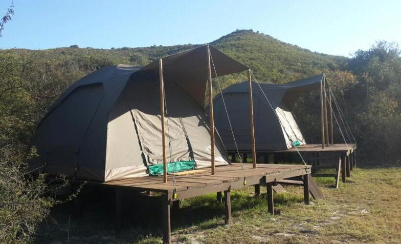Standard Tent, Pabala Private Nature Reserve
