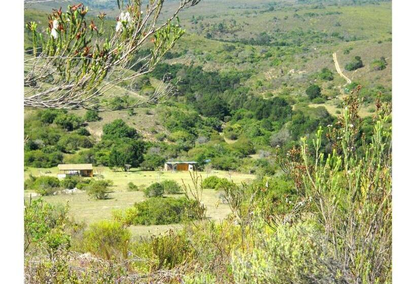 Standard Tent, Pabala Private Nature Reserve