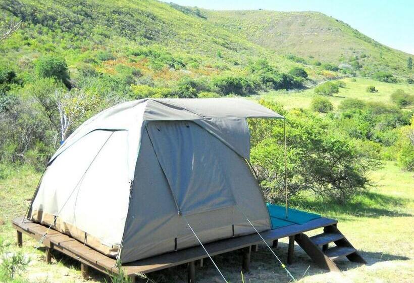 Standard Tent, Pabala Private Nature Reserve
