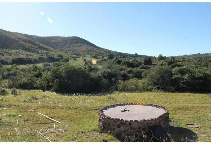 Standard Tent, Pabala Private Nature Reserve