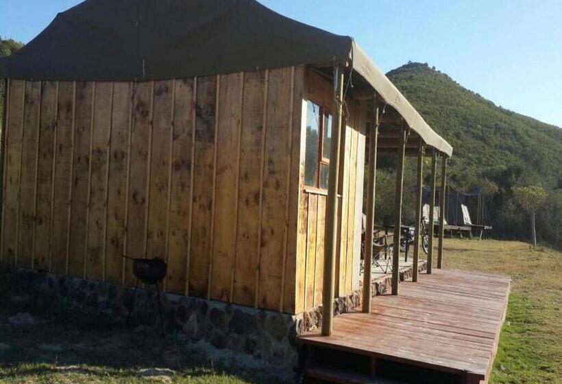 Standard Tent, Pabala Private Nature Reserve