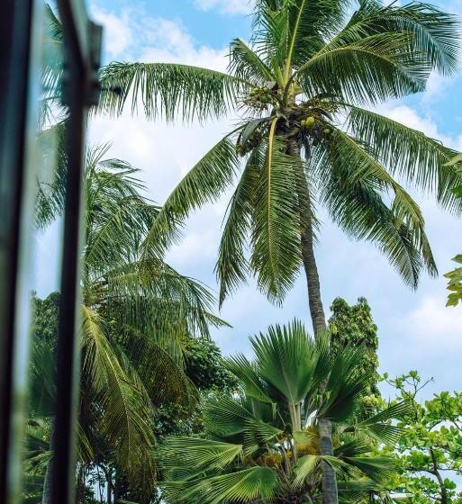 Номер Стандарт Вид на Сад, Zanzibar Retreat