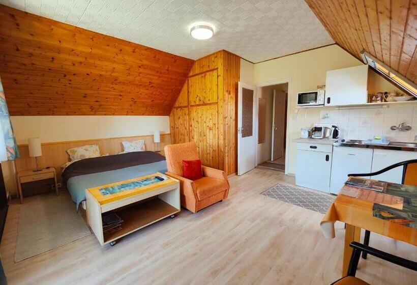 Студио Стандарт с Балконом, Viola House