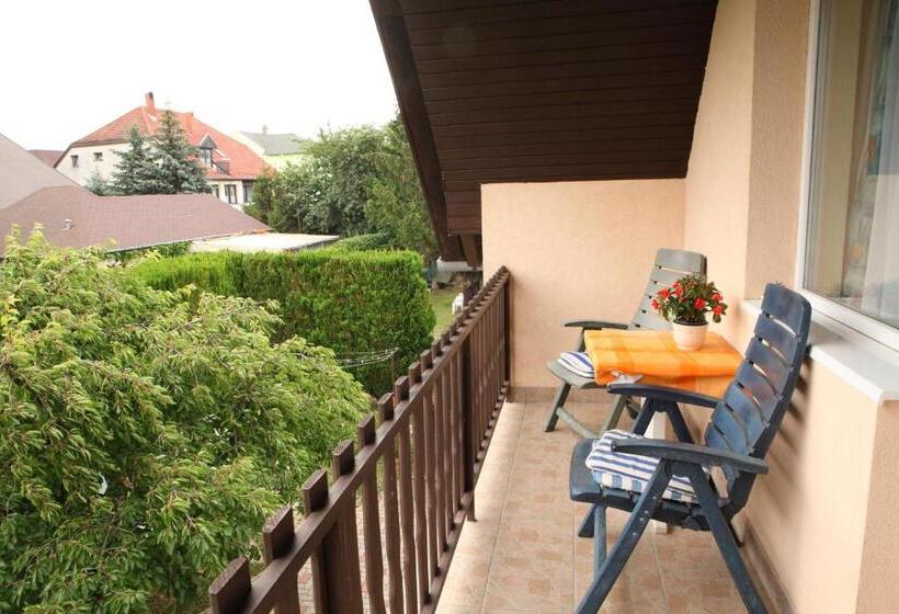 إستديو قياسى مزود بشرفة, Viola House