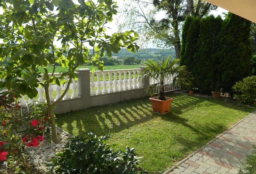 إستديو قياسى مزود بشرفة, Viola House