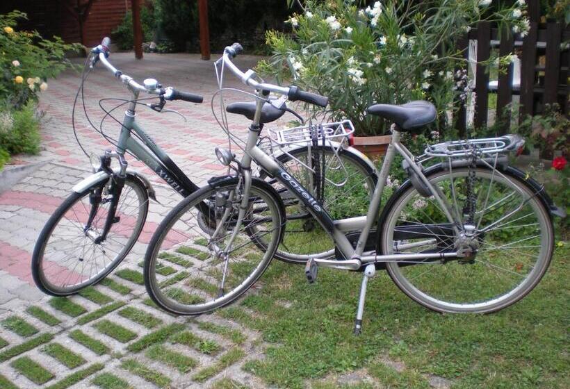 شقة غرفة نوم واحدة مزودة بشُرفة, Viola House