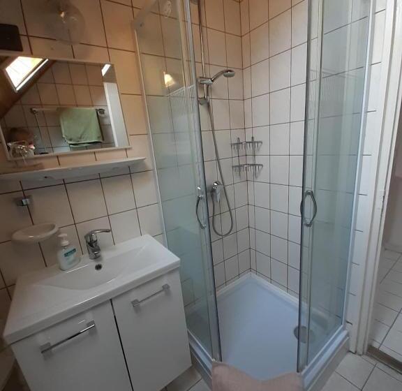 شقة غرفة واحدة, Viola House