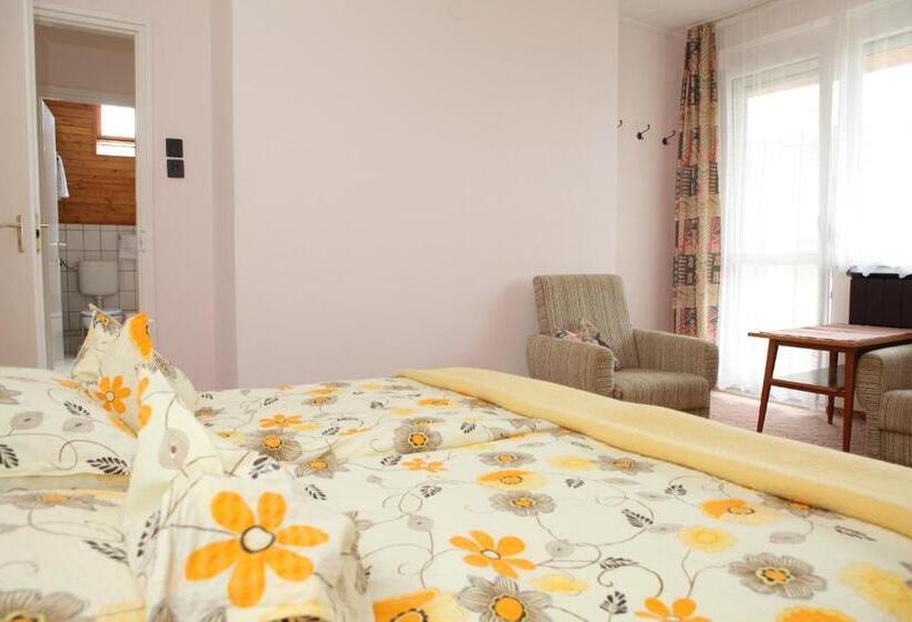 شقة غرفة واحدة, Viola House