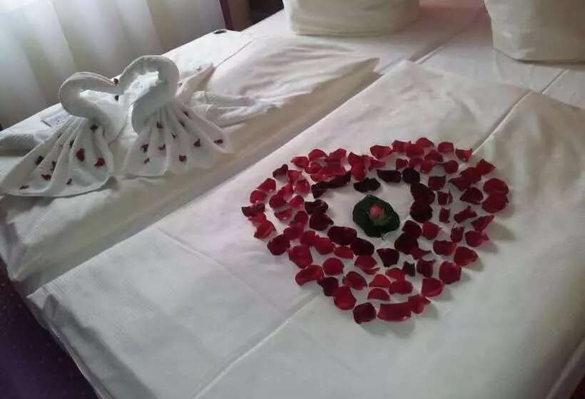 اتاق استاندارد, PLAZA Premium Salzburg
