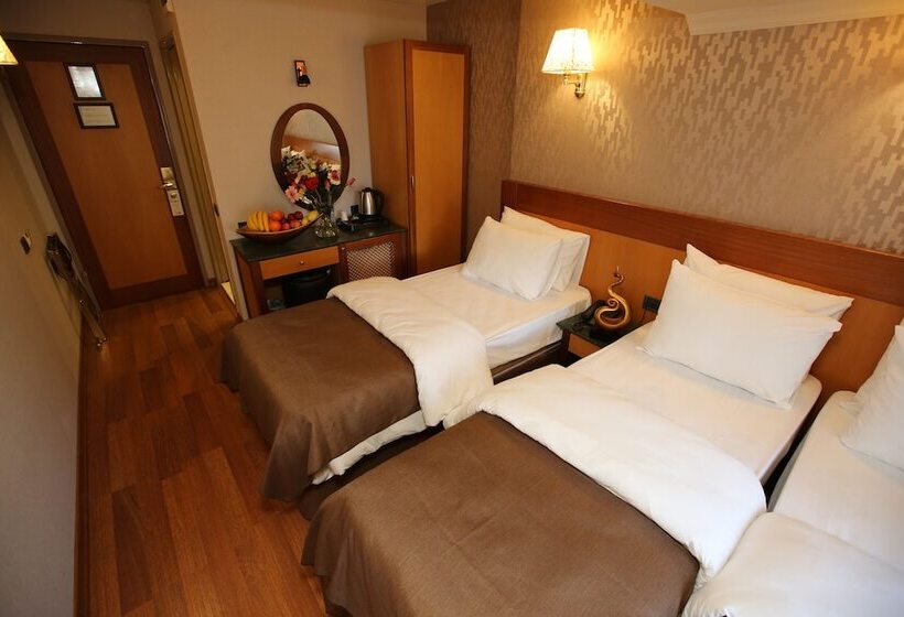 スタンダードルーム, Peak Star Otel
