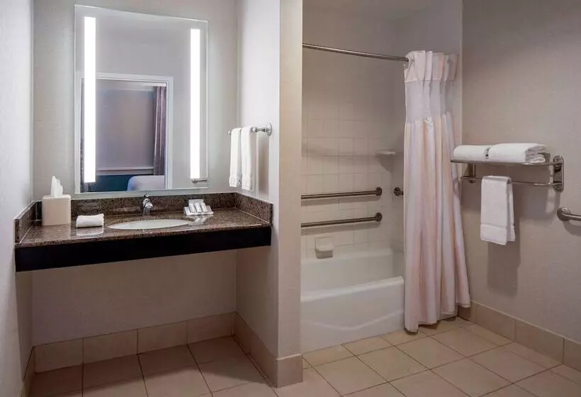 キングサイズベッドのスタンダードルーム, Hilton Garden Inn Jackson Downtown