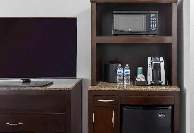 キングサイズベッドのスタンダードルーム, Hilton Garden Inn Jackson Downtown