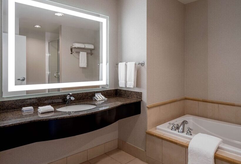 غرفة قياسية, Hilton Garden Inn Jackson Downtown