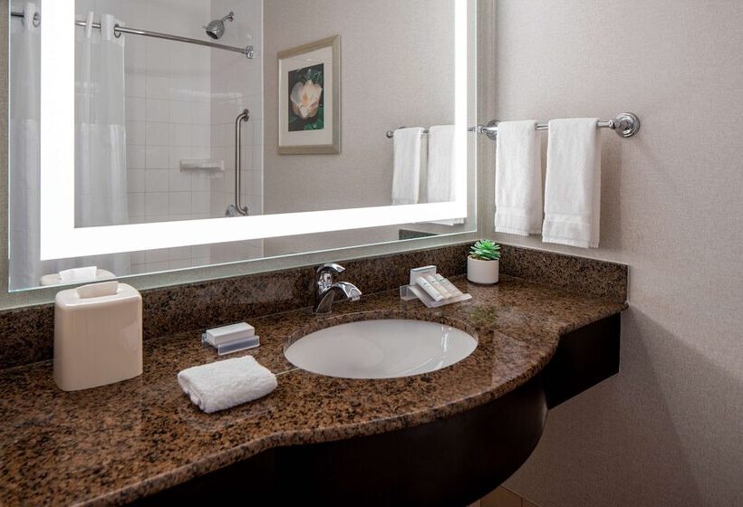 غرفة قياسية, Hilton Garden Inn Jackson Downtown