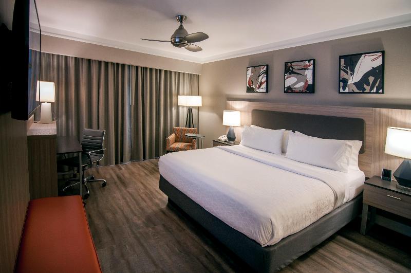 Standard Szoba King Size Bed, Holiday Inn Baton Rouge College Drive I 10, An Ihg