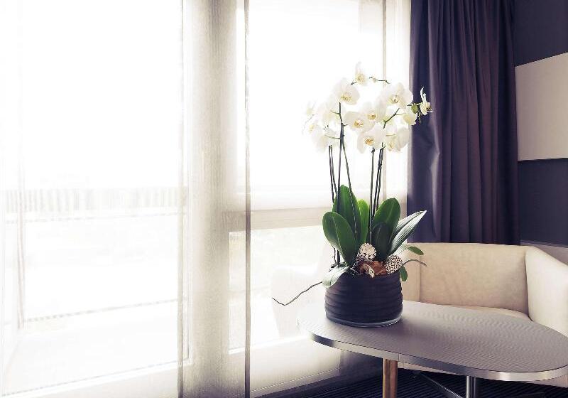 高级单人间, Mercure Biel