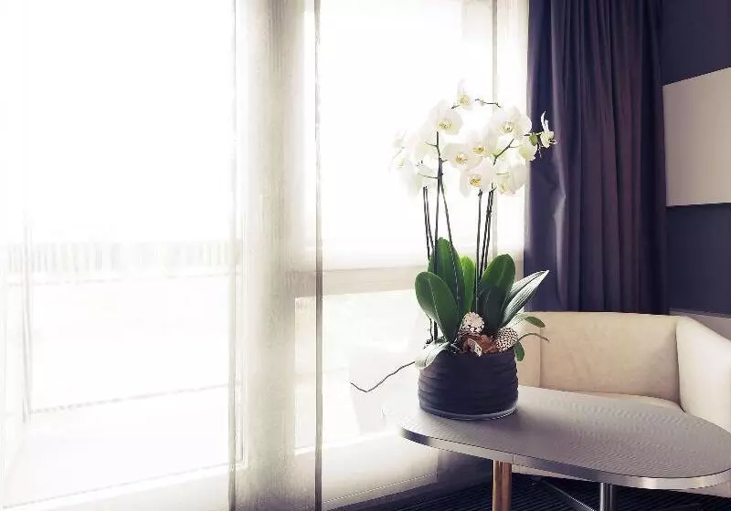 Superior-huone, Mercure Biel