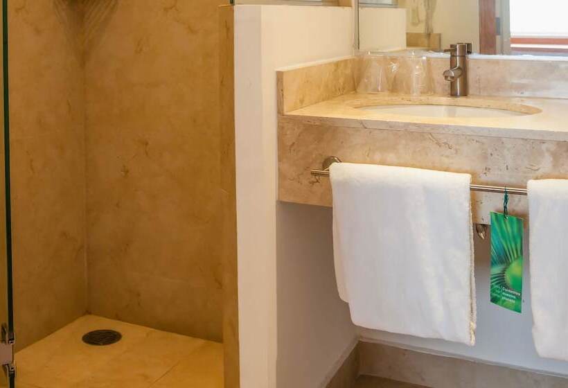 اتاق سوپریور, One Aguascalientes Sur